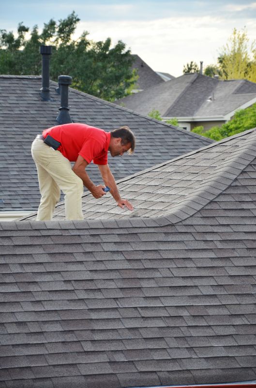 Professional Roofing Technician